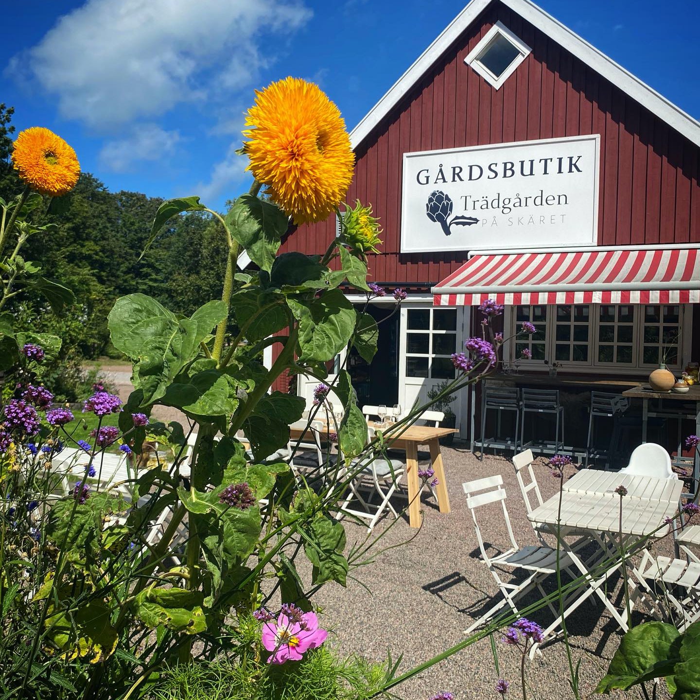 Trädgården på Skäret